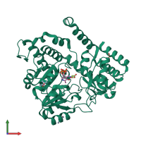 PDB entry 2w7f coloured by chain, front view.