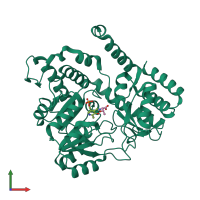 PDB entry 2w7l coloured by chain, front view.