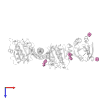 1,4-DIETHYLENE DIOXIDE in PDB entry 2w83, assembly 1, top view.