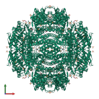Homo dodecameric assembly 1 of PDB entry 2w8q coloured by chemically distinct molecules, front view.