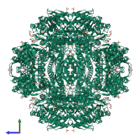 Homo dodecameric assembly 1 of PDB entry 2w8q coloured by chemically distinct molecules, side view.