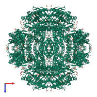 Homo dodecameric assembly 1 of PDB entry 2w8q coloured by chemically distinct molecules, top view.