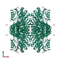 Homo tetrameric assembly 2 of PDB entry 2w8q coloured by chemically distinct molecules, front view.