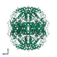 Homo tetrameric assembly 2 of PDB entry 2w8q coloured by chemically distinct molecules, side view.