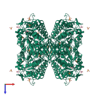 Homo tetrameric assembly 2 of PDB entry 2w8q coloured by chemically distinct molecules, top view.