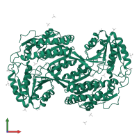 Succinate-semialdehyde dehydrogenase, mitochondrial in PDB entry 2w8q, assembly 3, front view.