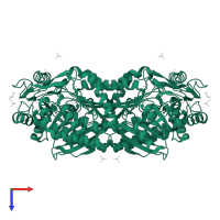 Succinate-semialdehyde dehydrogenase, mitochondrial in PDB entry 2w8q, assembly 3, top view.