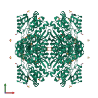 Homo tetrameric assembly 2 of PDB entry 2w8r coloured by chemically distinct molecules, front view.