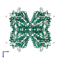 Homo tetrameric assembly 2 of PDB entry 2w8r coloured by chemically distinct molecules, top view.