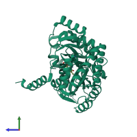 PDB entry 2w8u coloured by chain, side view.