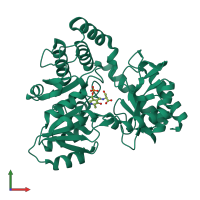 PDB entry 2w8w coloured by chain, front view.