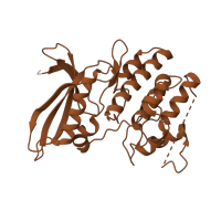 The deposited structure of PDB entry 2w96 contains 1 copy of Pfam domain PF00069 (Protein kinase domain) in Cyclin-dependent kinase 4. Showing 1 copy in chain B.