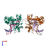 PDB entry 2w9b coloured by chain, top view.