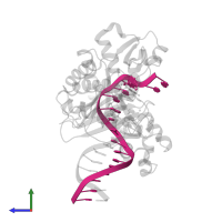 5'-D(*TP*CP*AP*TP*M2GP*GP*AP*AP*TP*CP*CP *TP*TP*CP*CP*CP*CP*C)-3' in PDB entry 2w9b, assembly 1, side view.