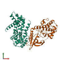 PDB entry 2w9f coloured by chain, front view.