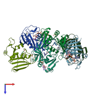 PDB entry 2w9s coloured by chain, top view.