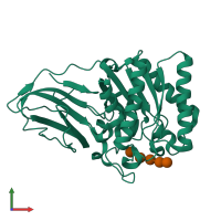 PDB entry 2wao coloured by chain, front view.