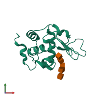 PDB entry 2war coloured by chain, front view.