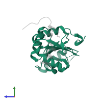 Probable ATP-dependent RNA helicase DDX6 in PDB entry 2way, assembly 2, side view.