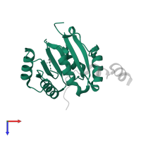 Probable ATP-dependent RNA helicase DDX6 in PDB entry 2way, assembly 2, top view.