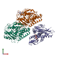 PDB entry 2wbe coloured by chain, front view.