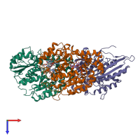 PDB entry 2wbe coloured by chain, top view.