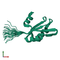 PDB entry 2wbr coloured by chain, ensemble of 24 models, front view.