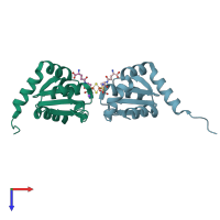 PDB entry 2wci coloured by chain, top view.