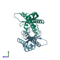 PDB entry 2wcr coloured by chain, side view.