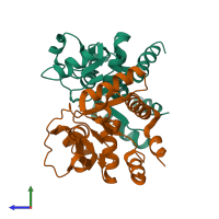 PDB entry 2wd5 coloured by chain, side view.