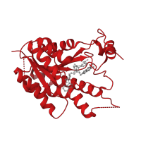 The deposited structure of PDB entry 2wd7 contains 1 copy of CATH domain 3.40.50.720 (Rossmann fold) in Pteridine reductase. Showing 1 copy in chain A.