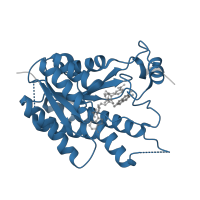 The deposited structure of PDB entry 2wd7 contains 1 copy of Pfam domain PF13561 (Enoyl-(Acyl carrier protein) reductase) in Pteridine reductase. Showing 1 copy in chain A.