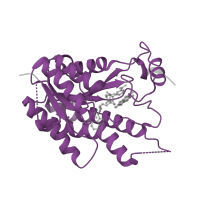 The deposited structure of PDB entry 2wd7 contains 3 copies of Pfam domain PF13561 (Enoyl-(Acyl carrier protein) reductase) in Pteridine reductase. Showing 1 copy in chain C.