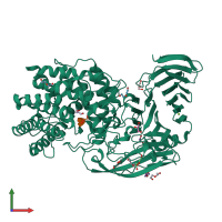 PDB entry 2wda coloured by chain, front view.