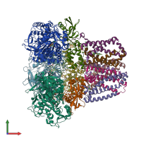 PDB entry 2wdr coloured by chain, front view.