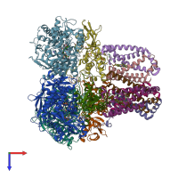 PDB entry 2wdr coloured by chain, top view.