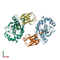 PDB entry 2wdt coloured by chain, front view.