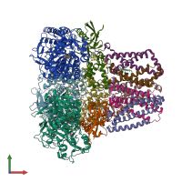 PDB entry 2wdv coloured by chain, front view.