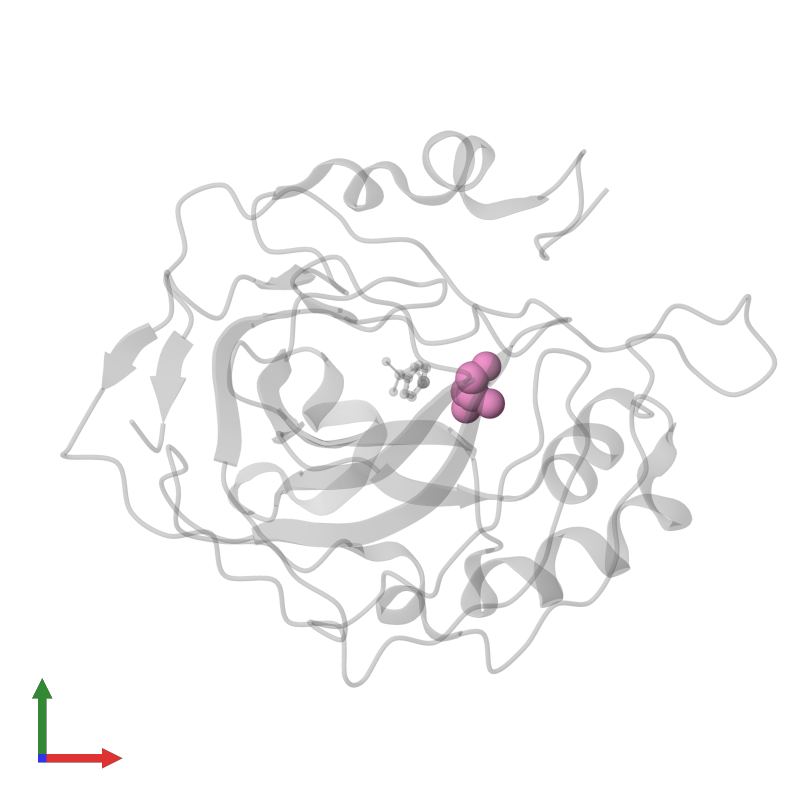 PDB 2wej gallery ‹ Protein Data Bank in Europe (PDBe) ‹ EMBLEBI