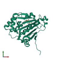 PDB entry 2wep coloured by chain, front view.