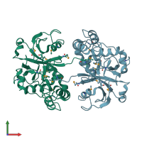 PDB entry 2wfd coloured by chain, front view.