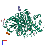 PDB entry 2wg2 coloured by chain, top view.