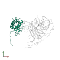 Desert hedgehog protein N-product in PDB entry 2wg3, assembly 1, front view.