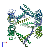 PDB entry 2wg5 coloured by chain, top view.