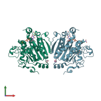 PDB entry 2wgz coloured by chain, front view.