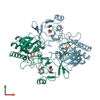 PDB entry 2whd coloured by chain, front view.
