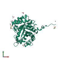 3D model of 2whj from PDBe
