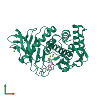 PDB entry 2wi0 coloured by chain, front view.