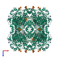 Homo octameric assembly 1 of PDB entry 2wif coloured by chemically distinct molecules, top view.