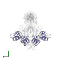 Complement factor B Bb fragment in PDB entry 2win, assembly 2, side view.